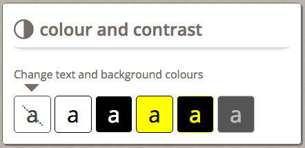 a radio button styled colour and contrast panel
